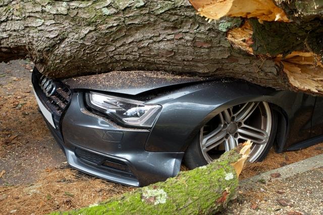 Legal Representation for Car Accident Victims in Woodinville