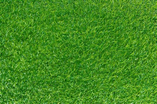 Choosing the Best Artificial Grass Suppliers