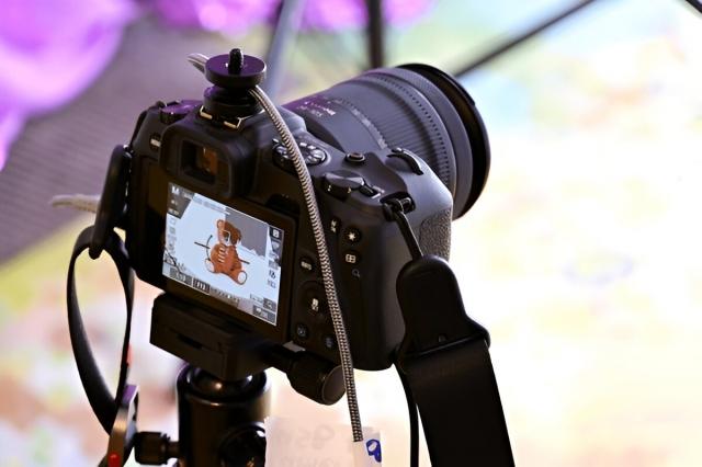 The Significance of Engaging the Services of Home-Based Wedding Photographers for Your Weddings