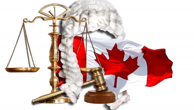Why Consulting a Calgary Catastrophic Injury Lawyer Is Crucial for Your Case