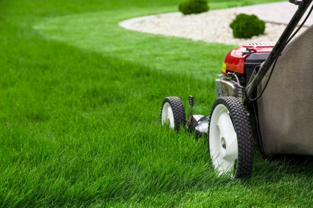 How to Purchase a New Lawn Mower on a Tight Budget