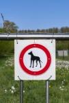 Why You Should Consider Using Warning Leads for Dogs