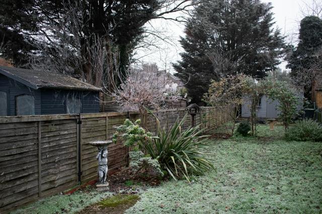 4 Reasons to Spend Time in Your Garden During the Winter