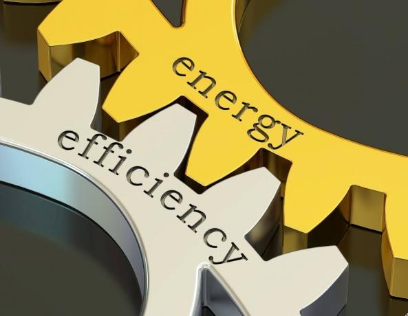 Induction Motor Manufacturers Pave the Way for Energy Efficiency Across Industries